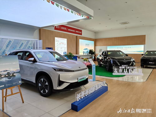 內江第三十五屆汽車文化周│內江車易通汽車銷售服務 長長長續(xù)航智混suv 等你來體驗